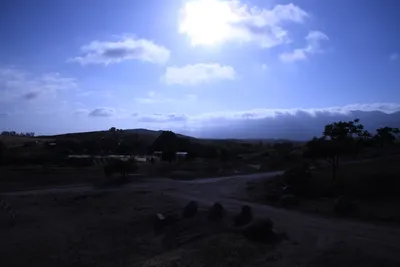 DSC_1199 (Large).JPG